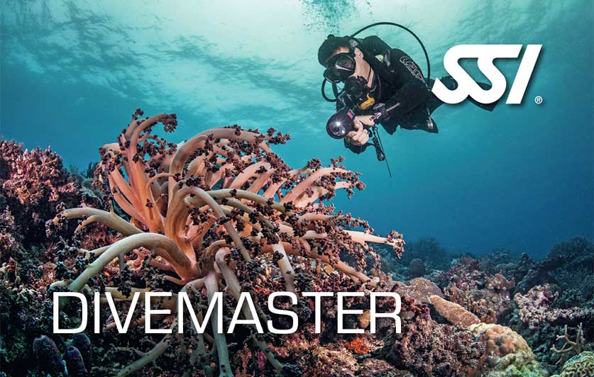 Divemaster DIVEMASTER