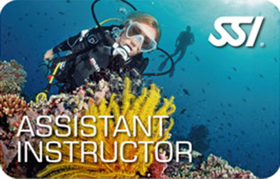 ASSISTANT-INSTRUCTOR ASSISTANT INSTRUCTOR